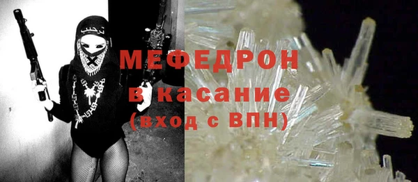 индика Абаза