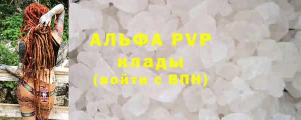 индика Абаза