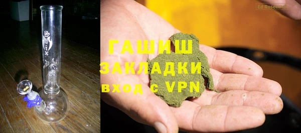 индика Абаза