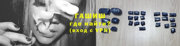 индика Абаза