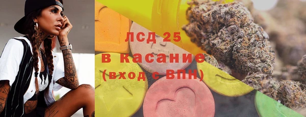 индика Абаза