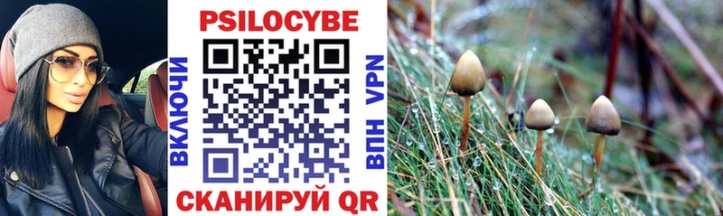Псилоцибиновые грибы прущие грибы  Фрязино 